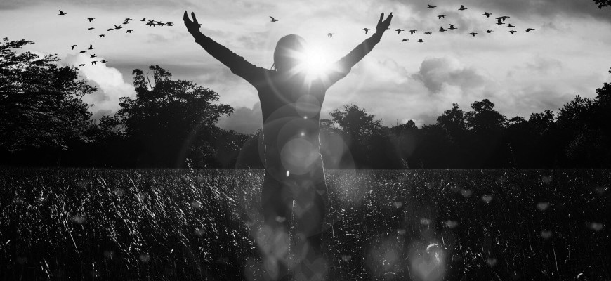 7 modi per vivere bene dell’idea su cui vuoi scommettere