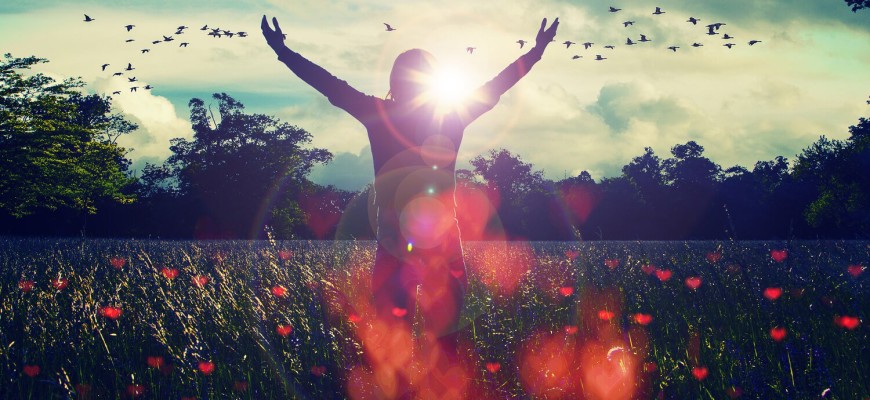 7 modi per vivere bene dell’idea su cui vuoi scommettere